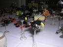 dscn0780.jpg