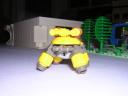 peter_reid_turtle_3.jpg