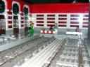dscn0283.jpg