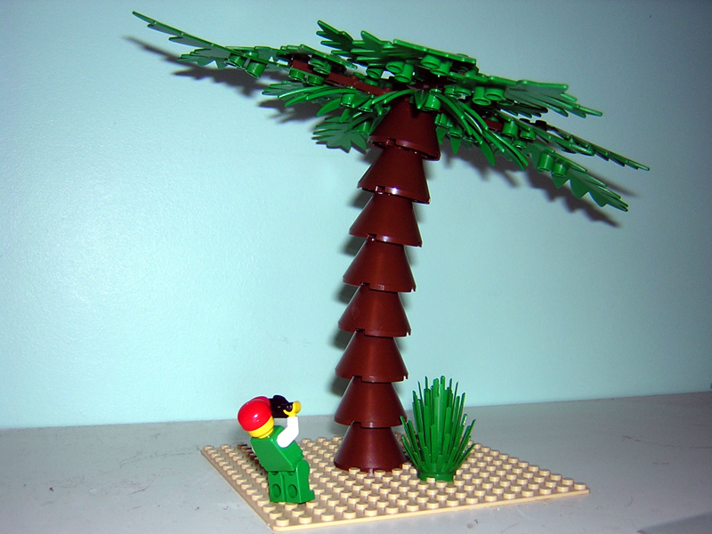 dscn0015.jpg