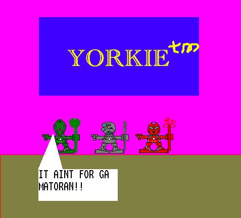 yorkie.jpg