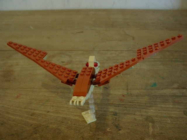 pterosaur-04.jpg