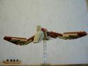 pterosaur-02.jpg