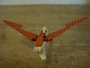 pterosaur-04.jpg