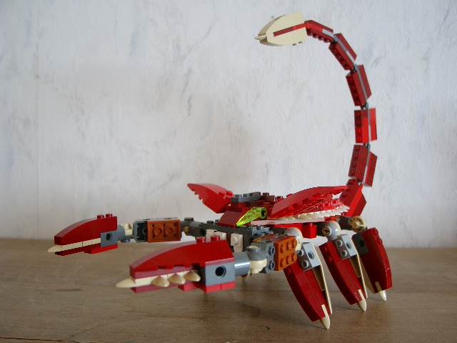 scorpion01.jpg