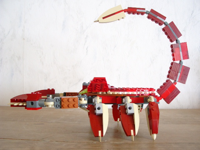 scorpion05.jpg