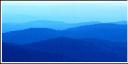 banner_3.png