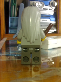 gandalf_back.jpg