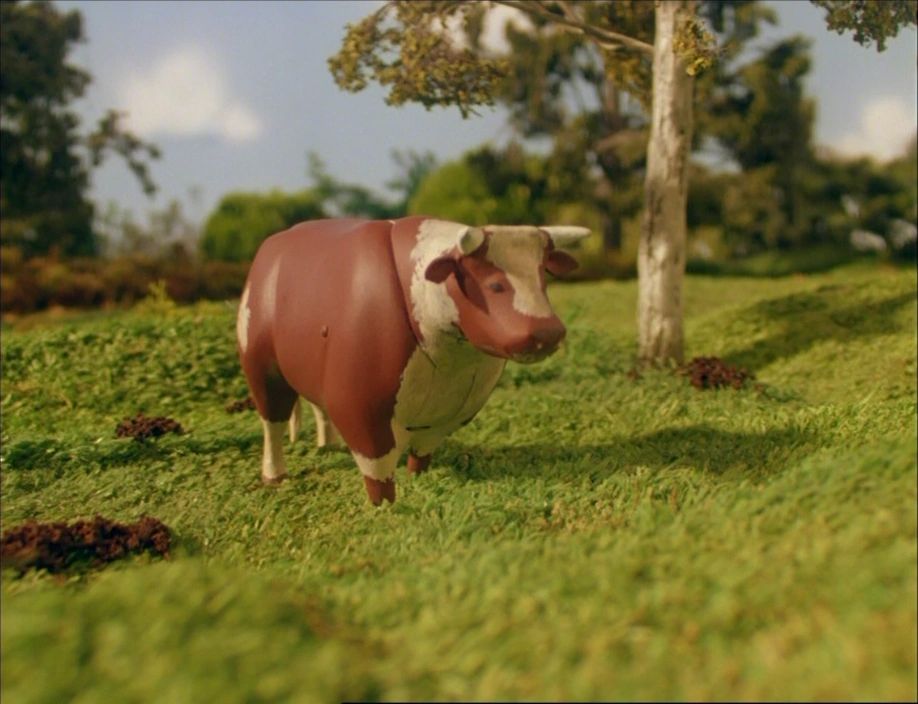 champion_the_bull.jpg