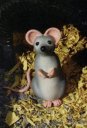 alicia_s_mouse.jpg