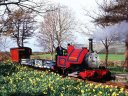 skarloey__young_.jpg