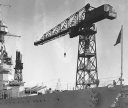 big_mickey_the_crane.jpg