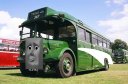 the_green_bus.jpg