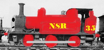 NSR_no.35_dart.jpg