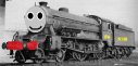 NSR_no.36_damien.jpg