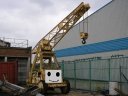 kevin_the_crane.jpg