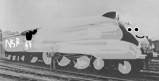NSR_no.43_arin.jpg