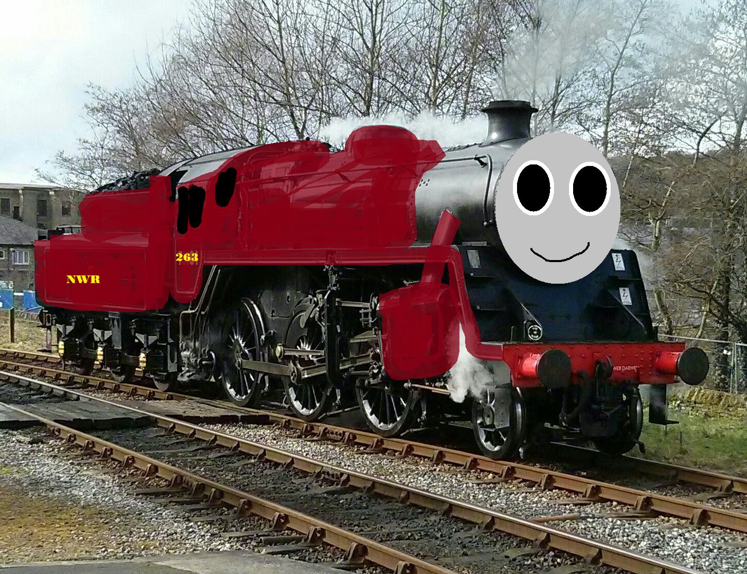 niall.jpg