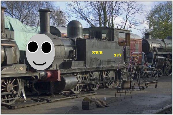 cody.jpg