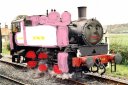 rosie_II.jpg