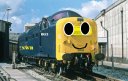petra_the_deltic.jpg