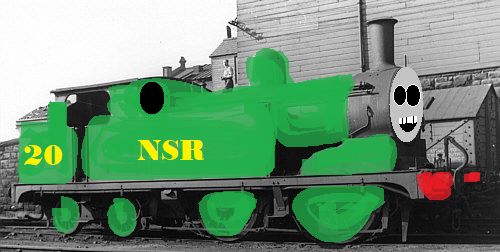 NSR_no.20_robin.jpg