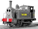 NSR_no.15_phoebe.jpg