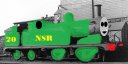 NSR_no.20_robin.jpg