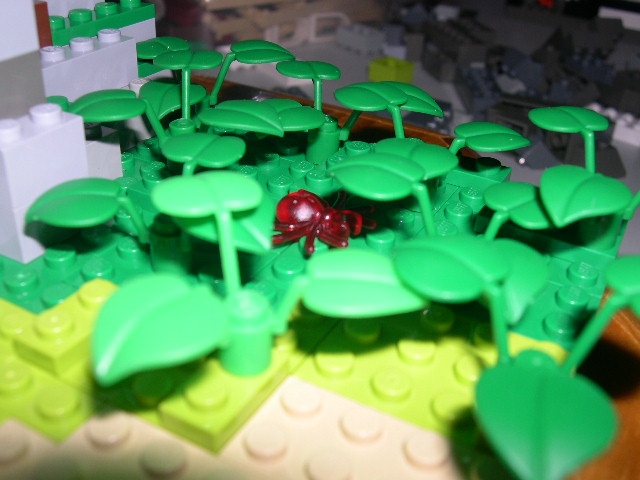 moc200606067.jpg
