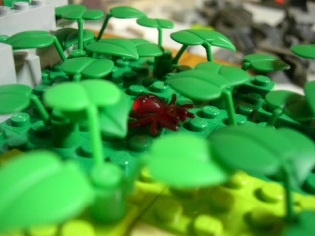 moc200606068.jpg