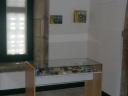 dscn7395.jpg
