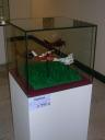 dscn7398.jpg