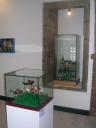 dscn7408.jpg