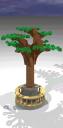 tree.jpg