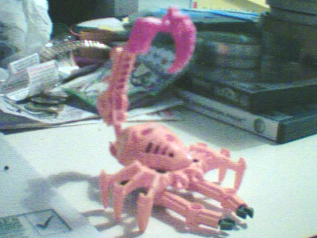 scorpion_2.jpg
