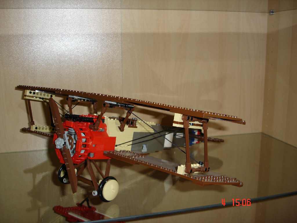 3451.jpg