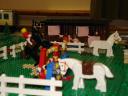 dsc00482.jpg