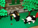 dsc00484.jpg