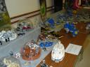 dsc00491.jpg