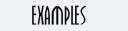 examples.png