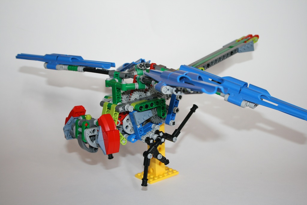 10dragonfly2.jpg