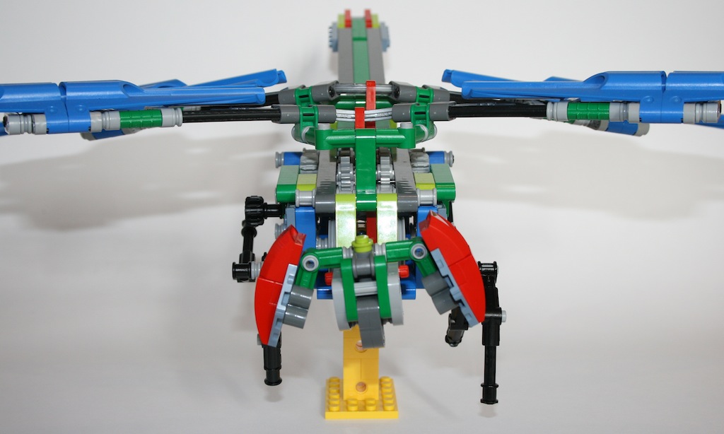 12dragonfly2.jpg