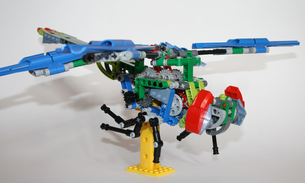13dragonfly2.jpg