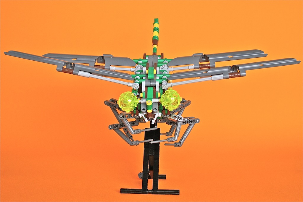 21dragonfly8.jpg