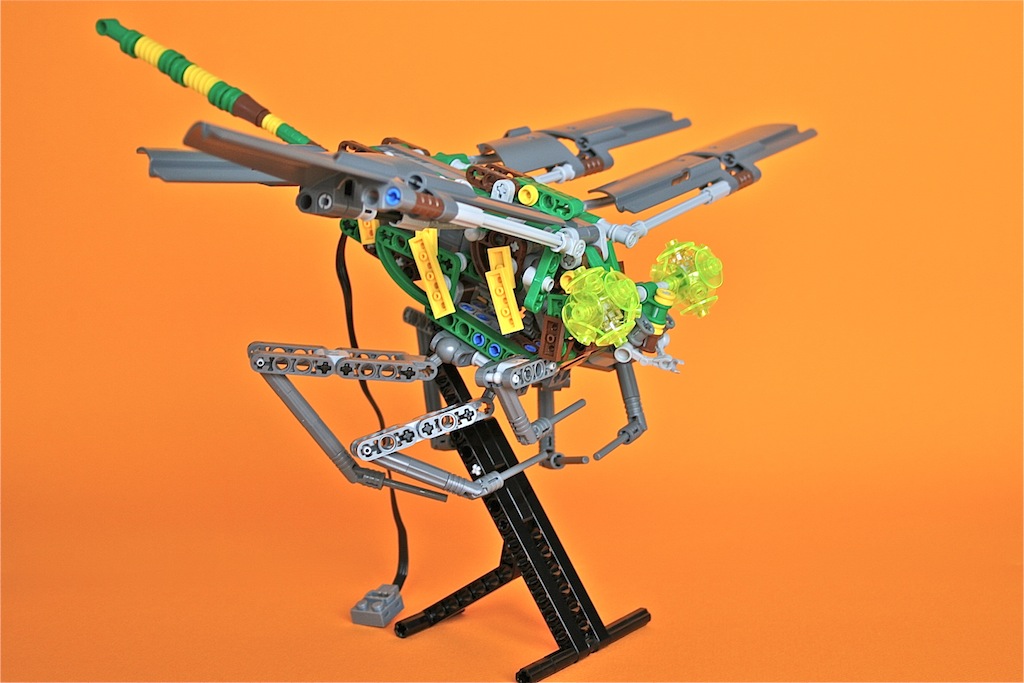 24dragonfly8.jpg