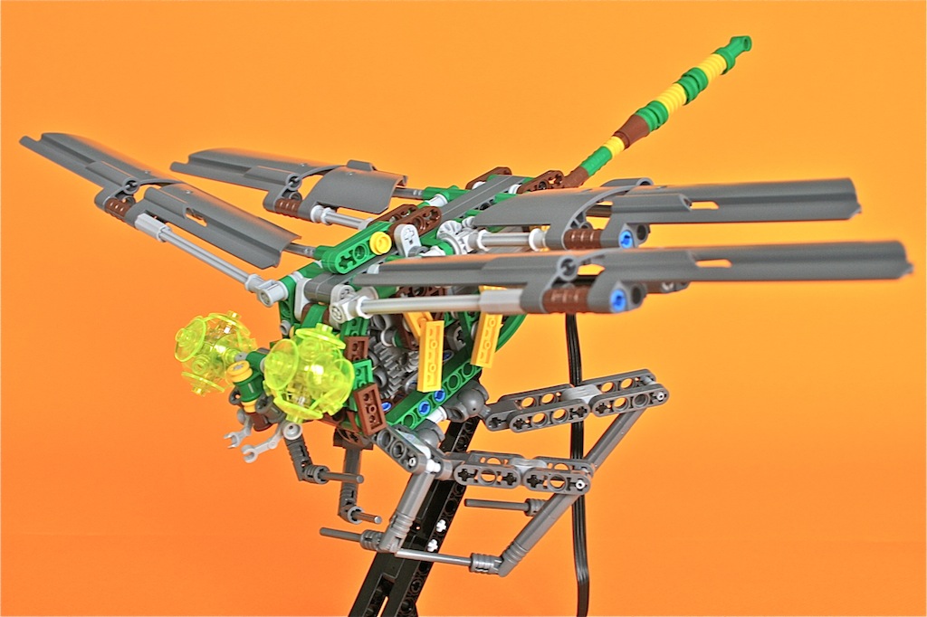 28dragonfly8.jpg