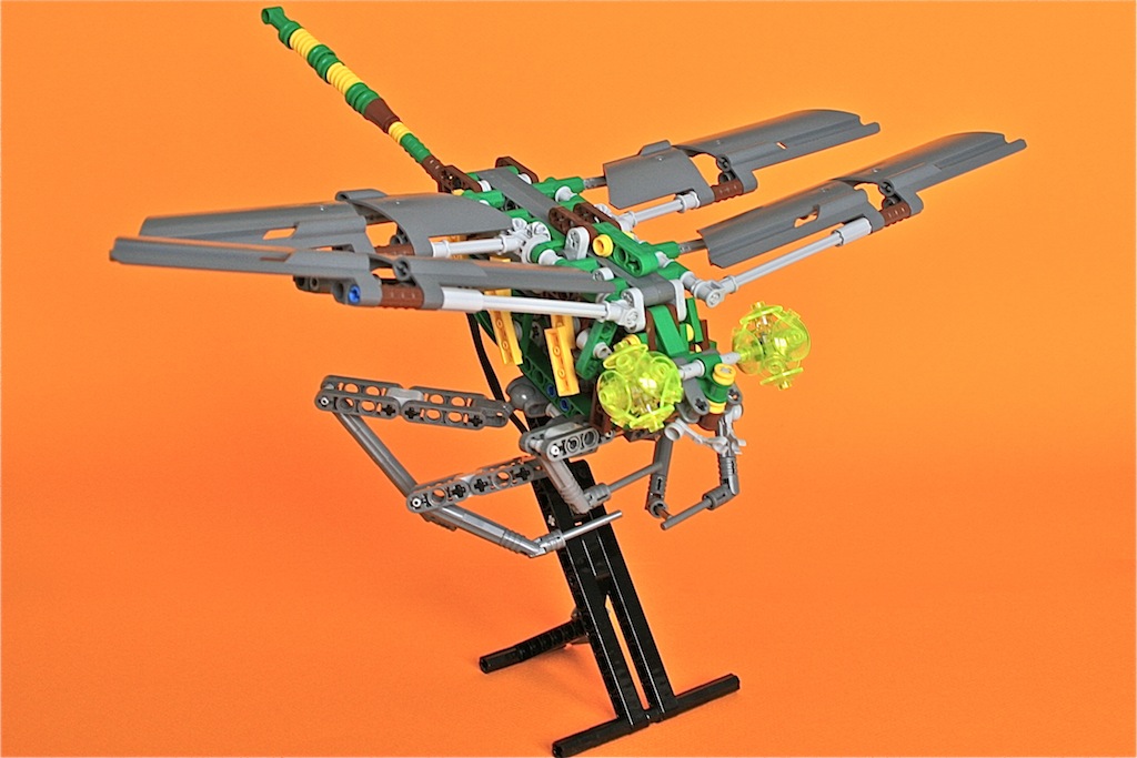29dragonfly8.jpg