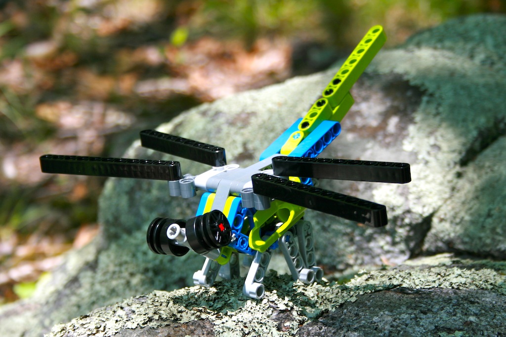 06dragonfly.jpg