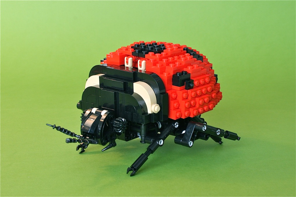 11ladybug3.jpg