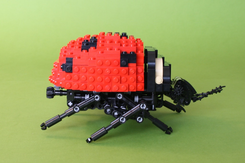 15ladybug3.jpg